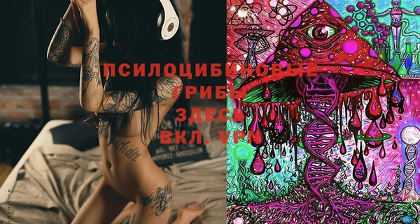герыч Белокуриха