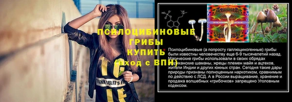 винт Беломорск